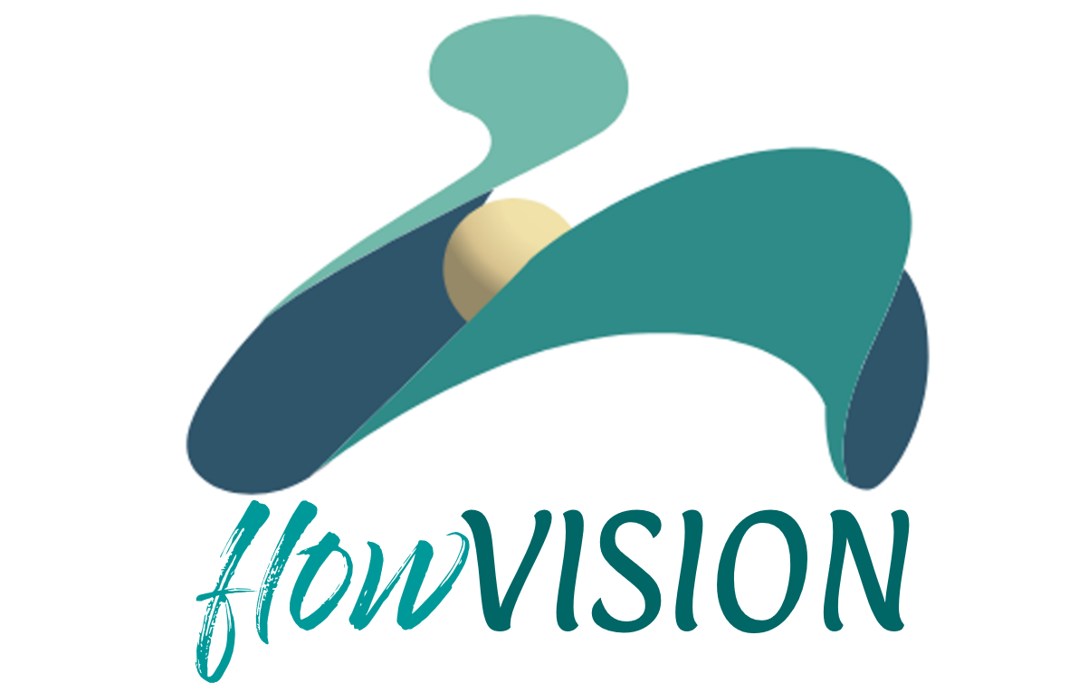 flowVISION consulting